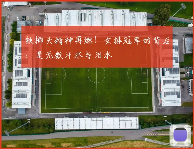 铁榔头精神再燃！女排冠军的背后，是无数汗水与泪水